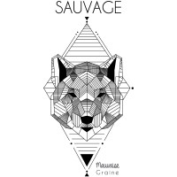 Ours Sauvage geometique