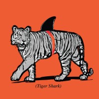tiger shark