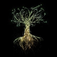 Arbre de Vie nocturne !