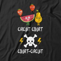 court-circuit