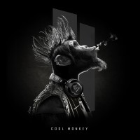 Cool Monkey
