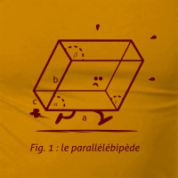 le parallélébipède