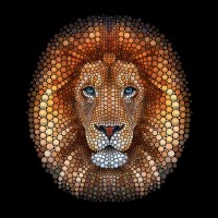 Lion Cercles
