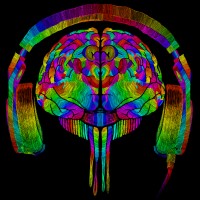 BRAIN RAINBOW