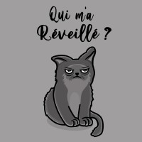 le chat endormi
