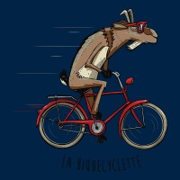 Biquecyclette