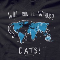 the world is a cat