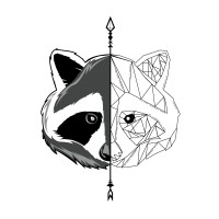 Minimalist racoon