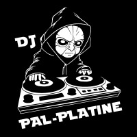 DJ PAL-PLATINE