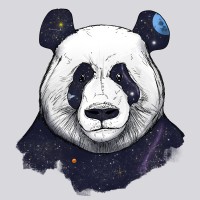 Space panda