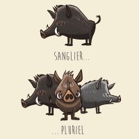 Sanglier 