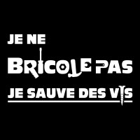 Je ne bricole pas, je sauve des vis