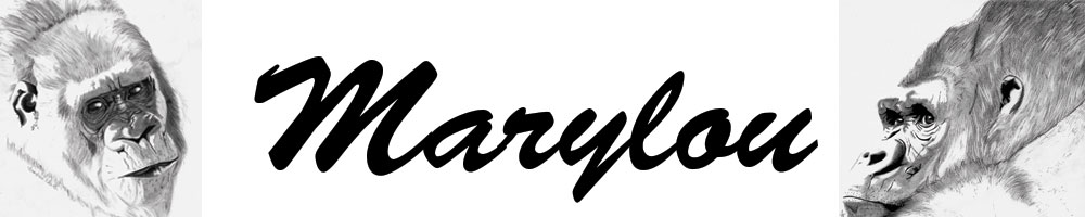 Bannière de marylou42