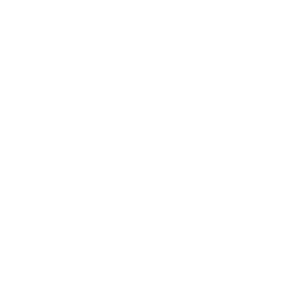 Panda Skull