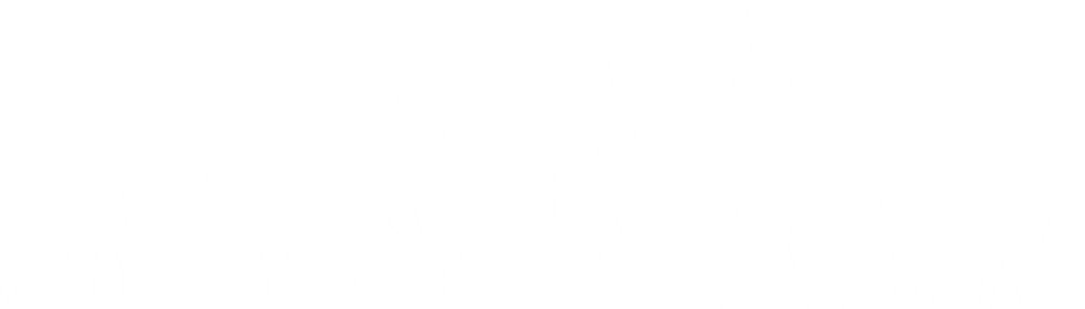 Panurge Evolution