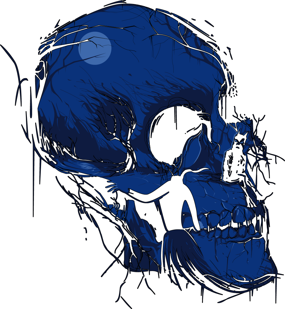 Maiden skull