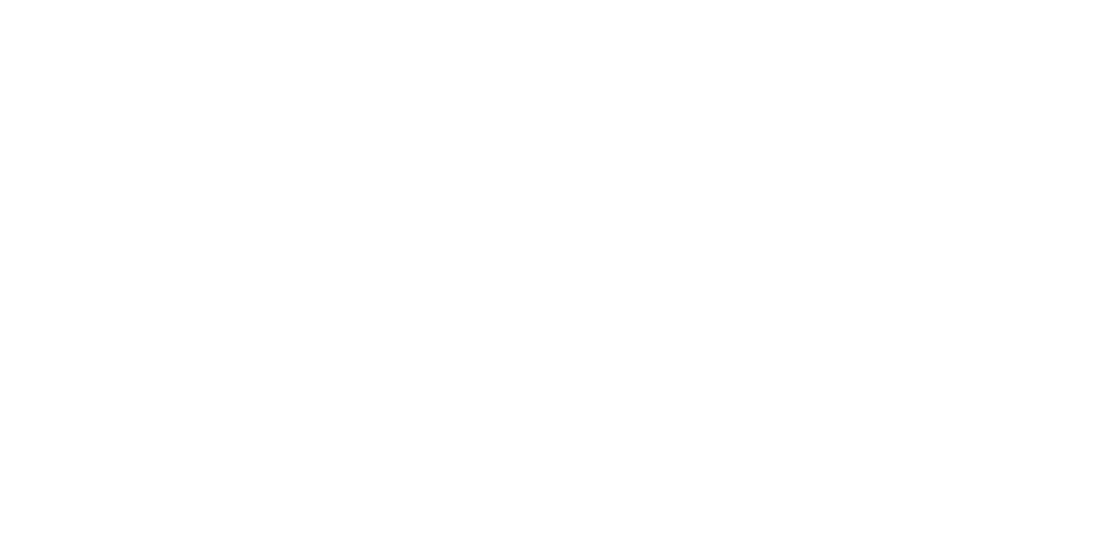 Pierre Feuille Metal