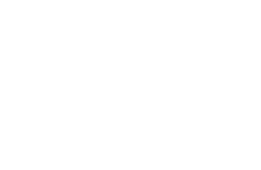 The black panther